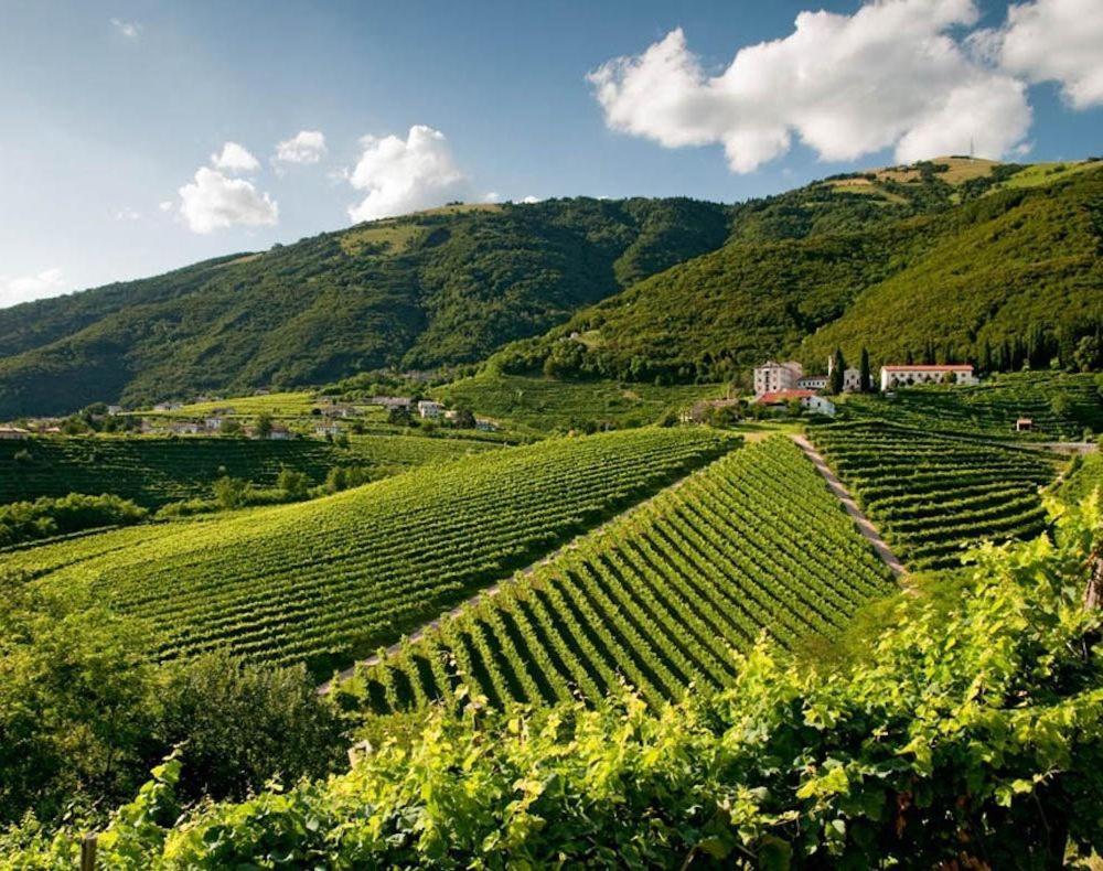 Follinetta10 - Enjoy Holiday Home In The Prosecco Hills Follina Extérieur photo
